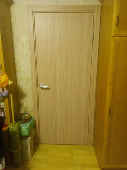 Межкомнатная дверь Фокус, модель 32 Шелковый дуб