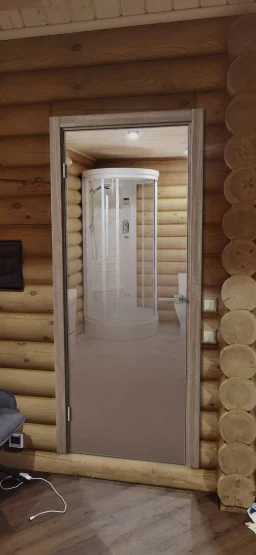 Стеклянная дверь Рейн, модель 22 без гравировки стекло серебряное-бронзовое