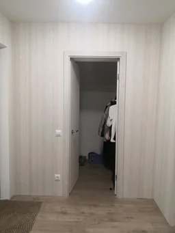 Межкомнатная дверь Фокус, модель 32 Сатиновый ясень