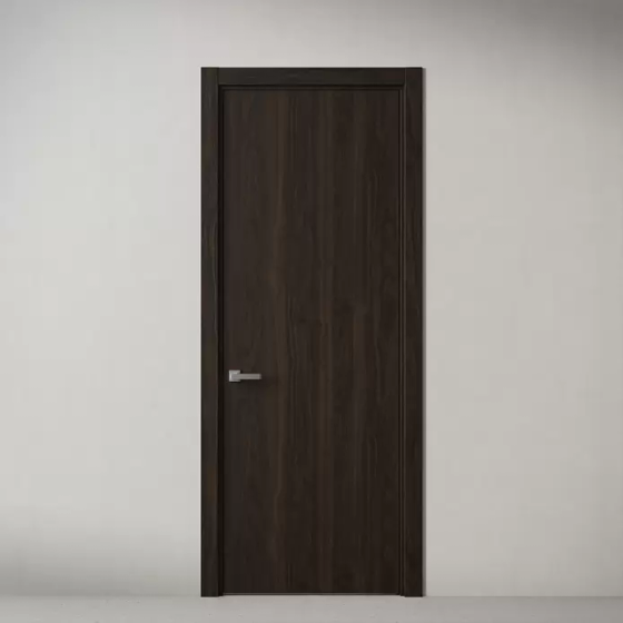 Межкомнатная дверь Акустика