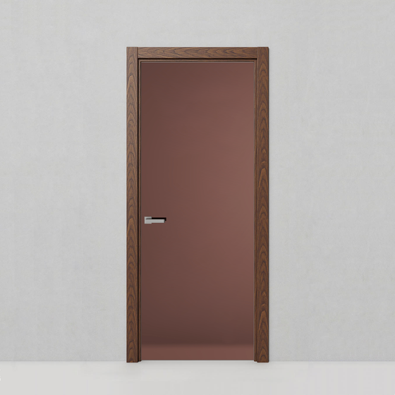 Стеклянная дверь Рейн