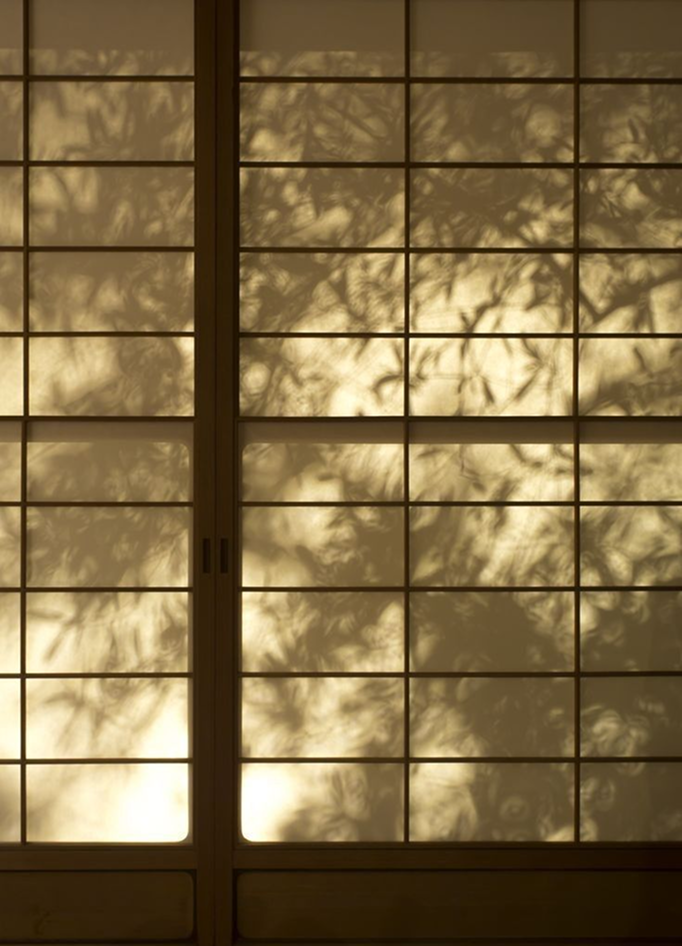 cdc790c97ed1cc44b6611bdf069f066d (2)