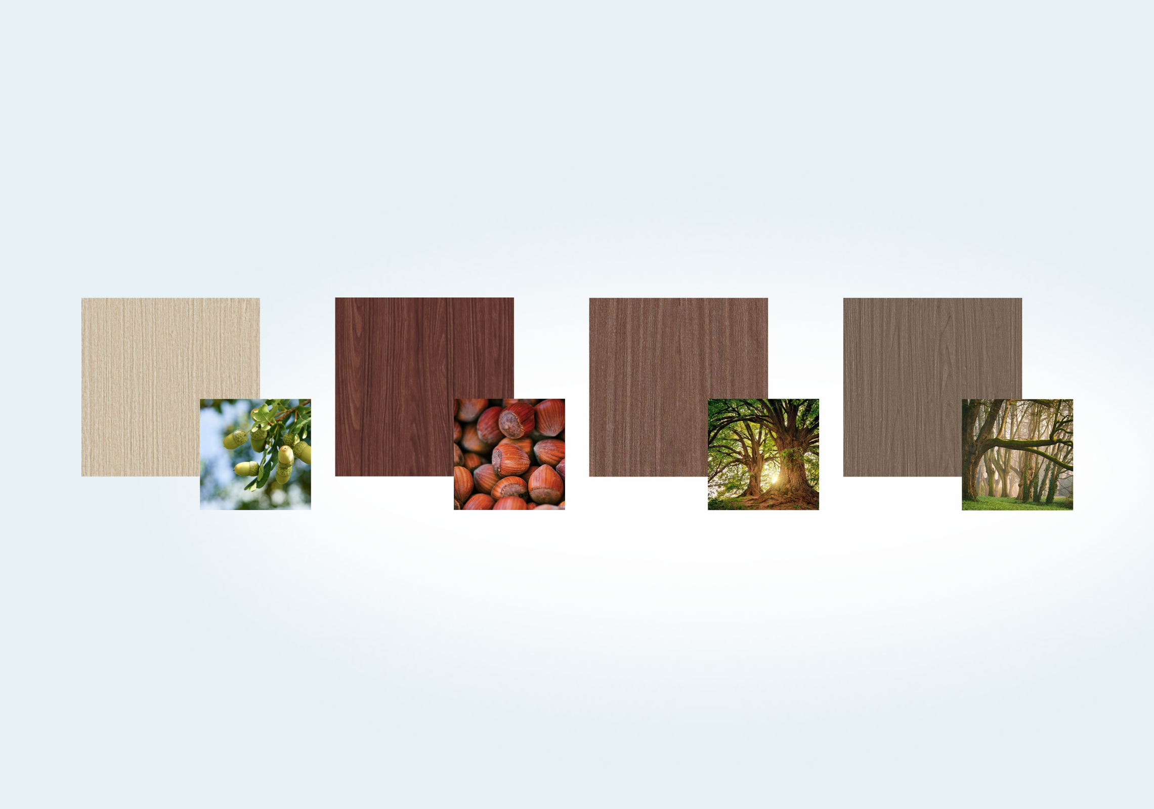 Новый древесный кортекс