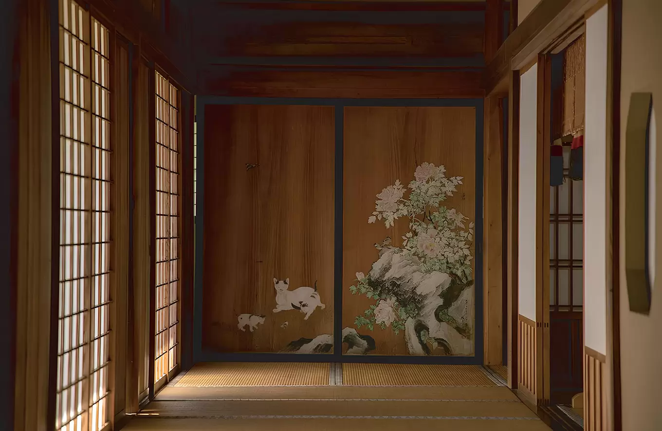 О коллекции