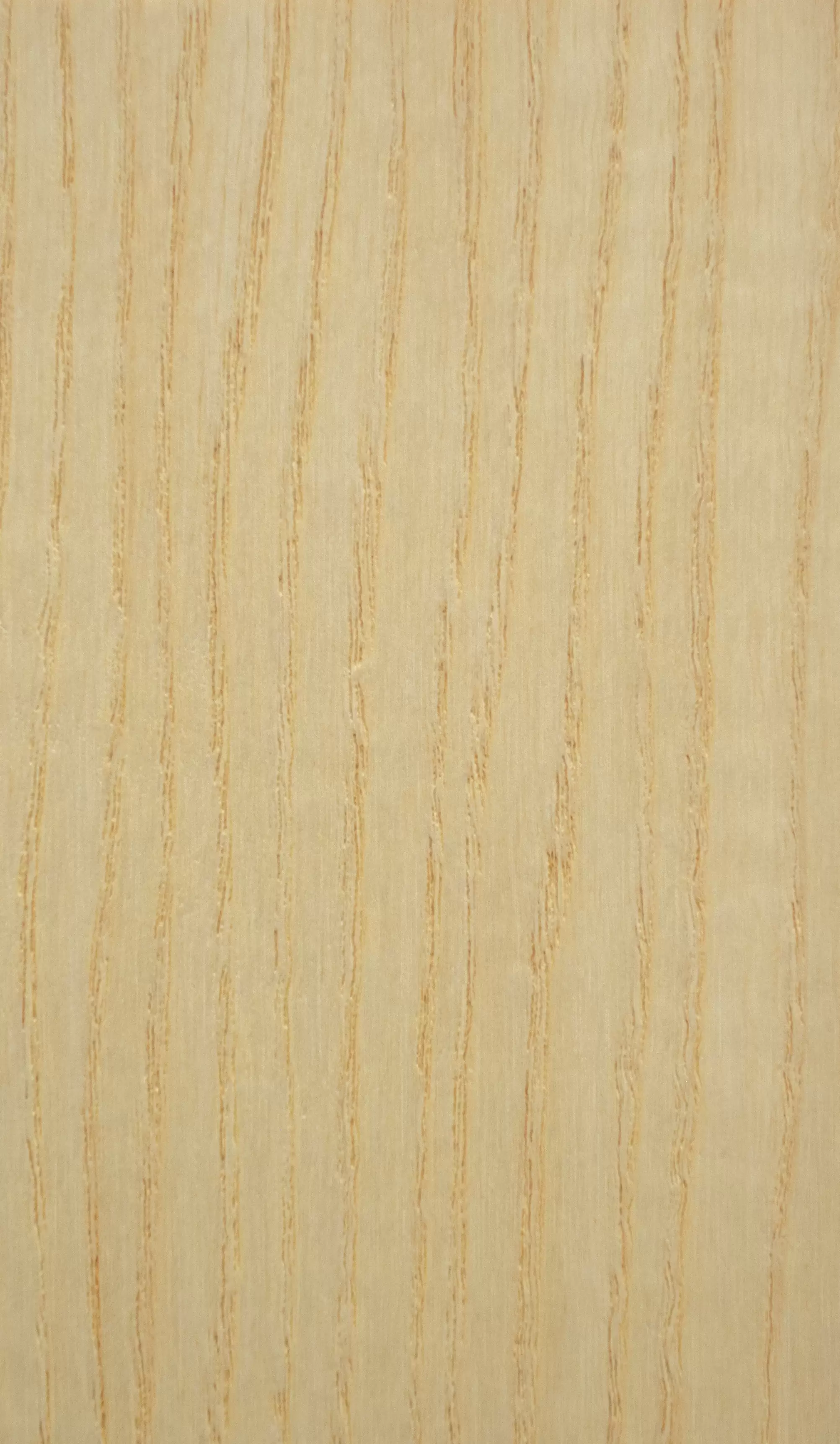 Ясень натуральный